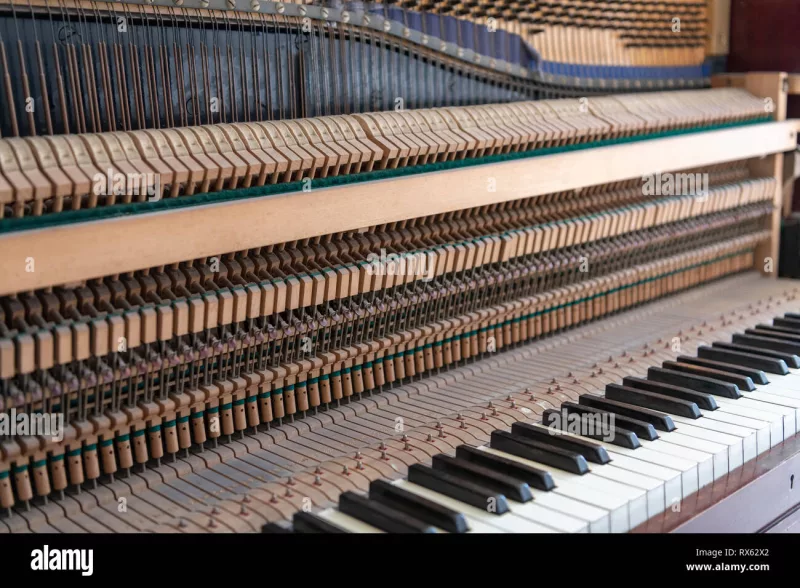 Sửa chữa đàn piano
