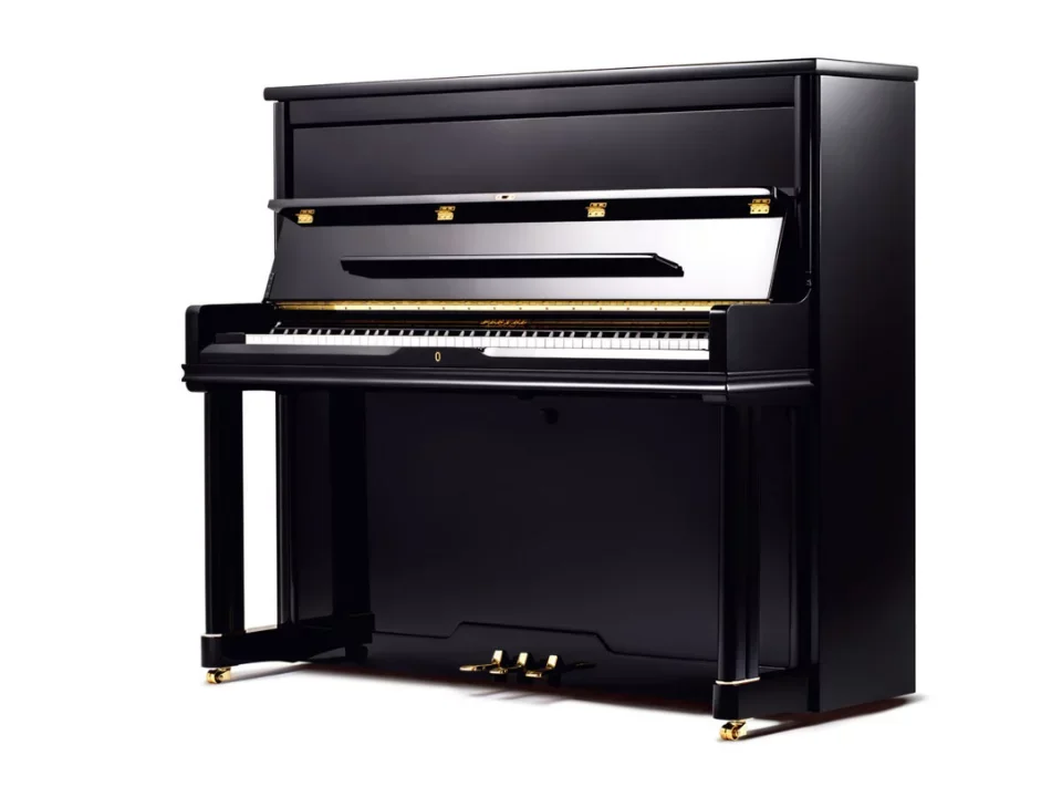 Pleyel P131-BLK - Chi tiết 1