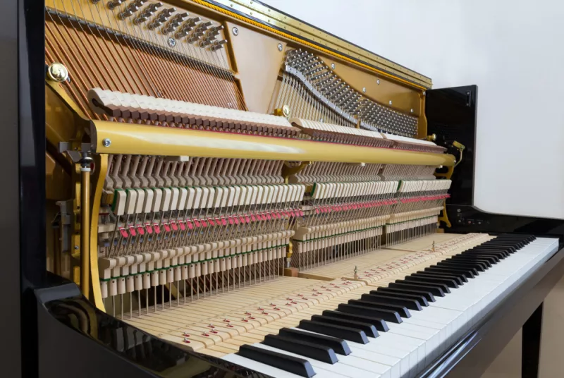Bảo dưỡng piano