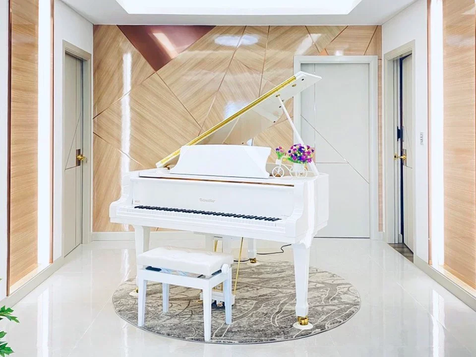 Ritmuller GDRS160 (+Piano Disc) - Hình ảnh chính