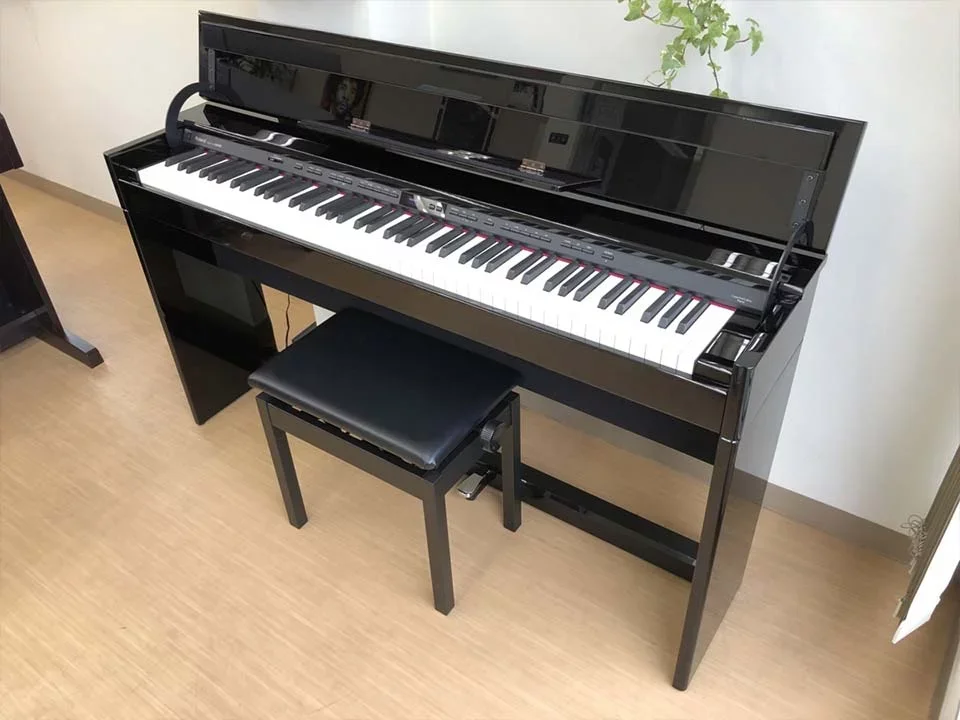 ROLAND DP-90S PE - Chi tiết 2