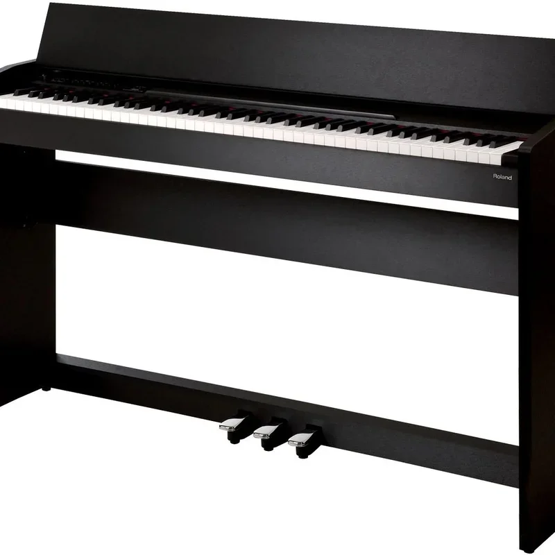 ROLAND F-110 B - Hình ảnh chính