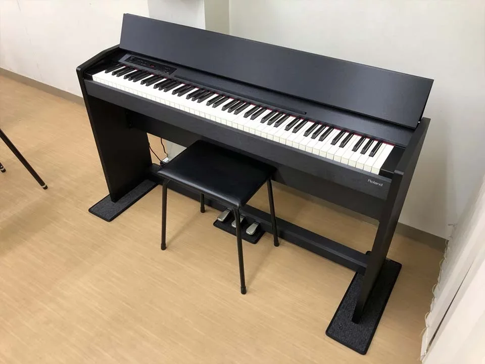 ROLAND F-120 B - Hình ảnh chính
