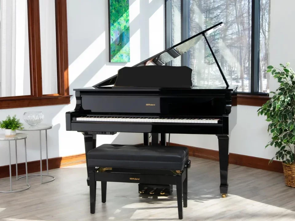 Roland GP-609 PE - Chi tiết 1