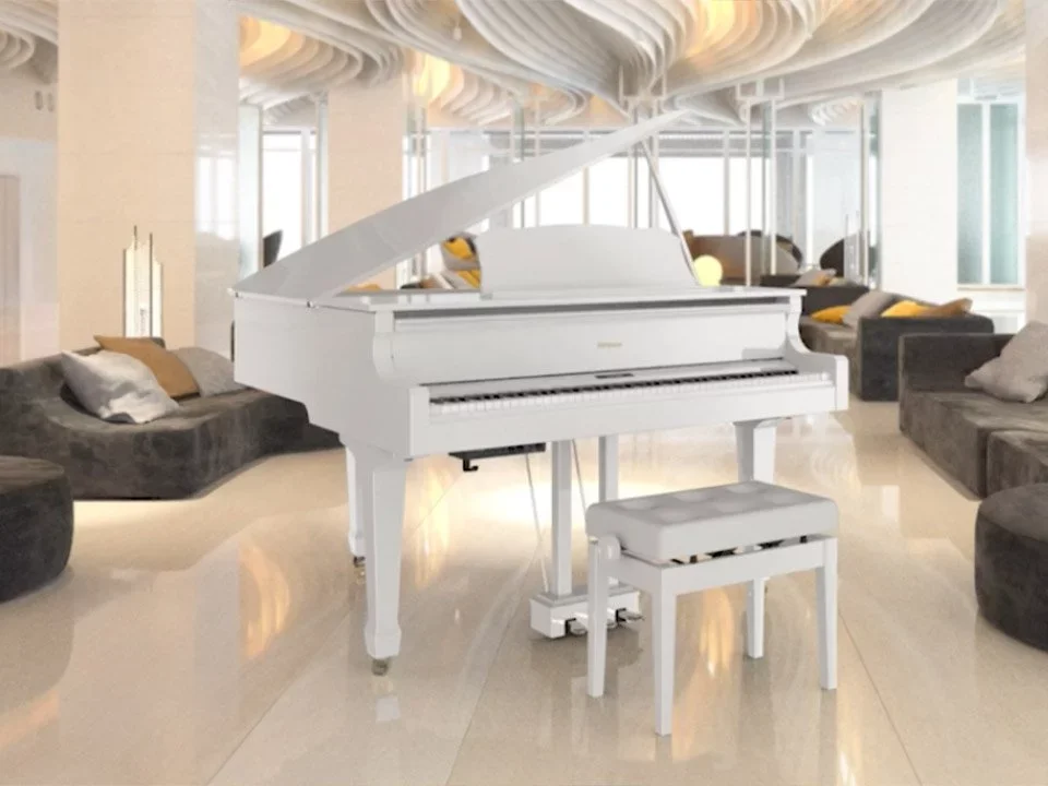 Roland GP-609 PW - Hình ảnh chính