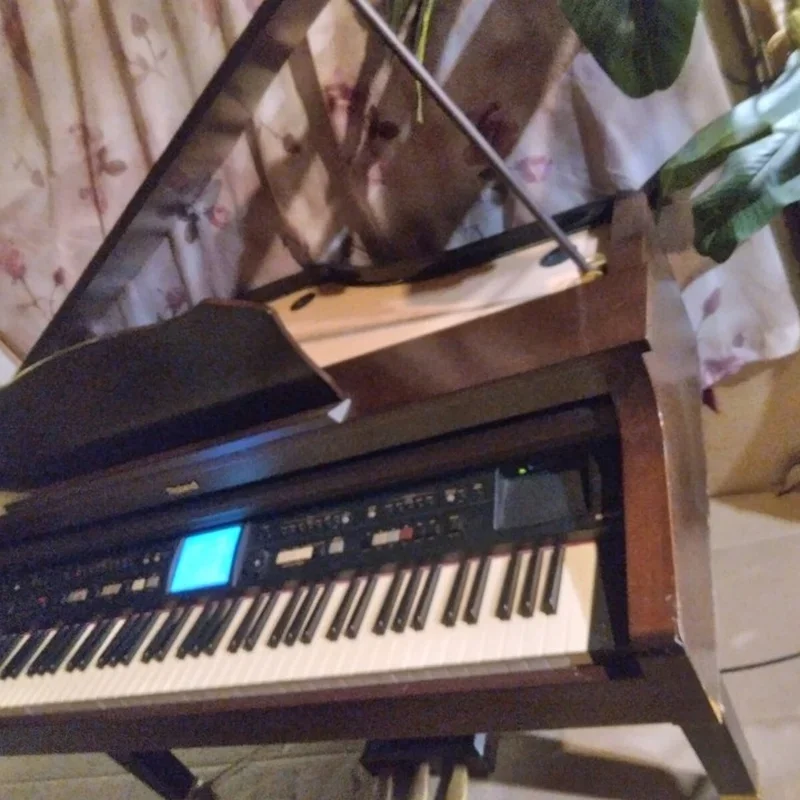 Roland KR-977 - Chi tiết 2