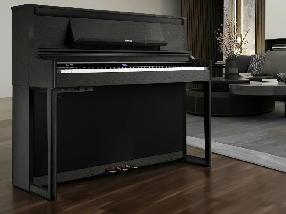 ROLAND LX-6 CB - Hình ảnh chính