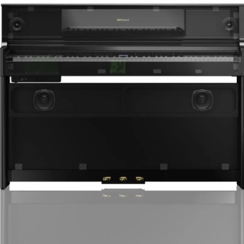 ROLAND LX-705 DR - Chi tiết 1
