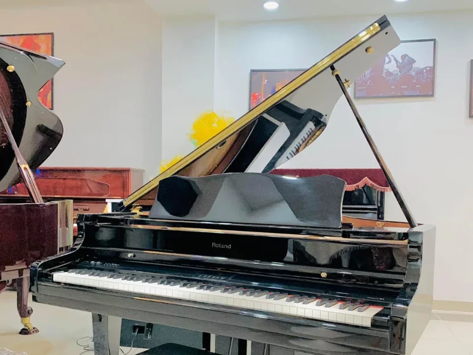 ROLAND RG-7F PE - Chi tiết 1