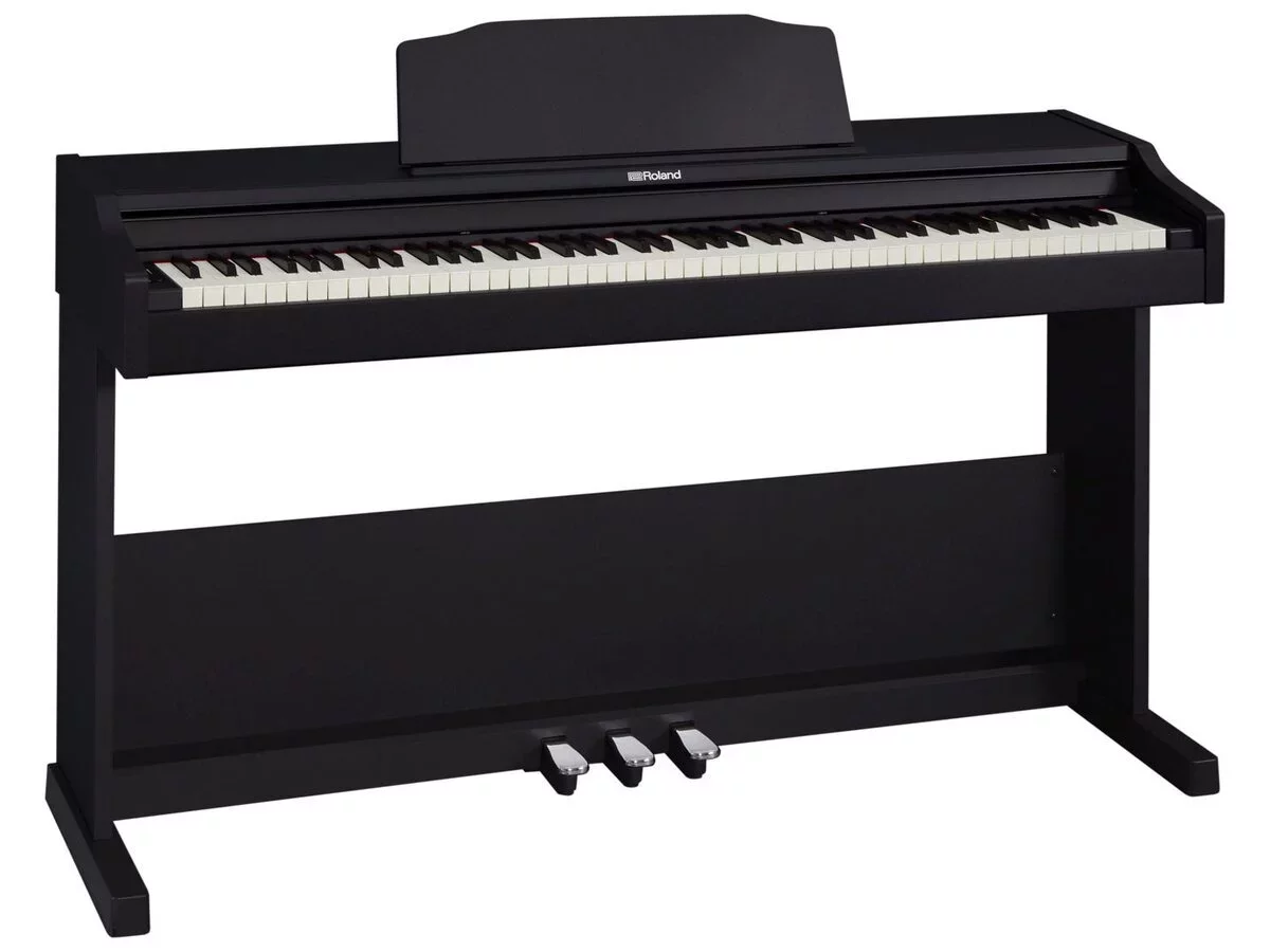 ROLAND RP-102 - Chi tiết 1