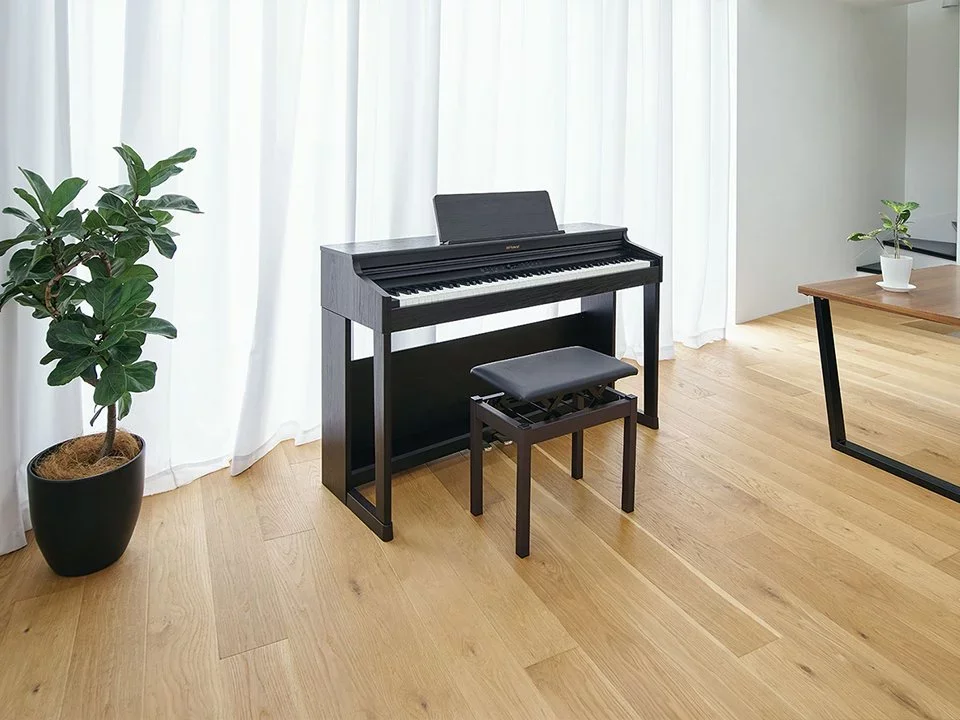 ROLAND RP-701 CB - Hình ảnh chính