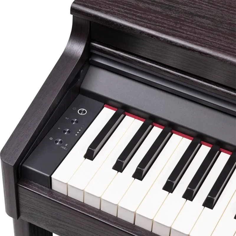 ROLAND RP-701 DR (Used) - Chi tiết 2