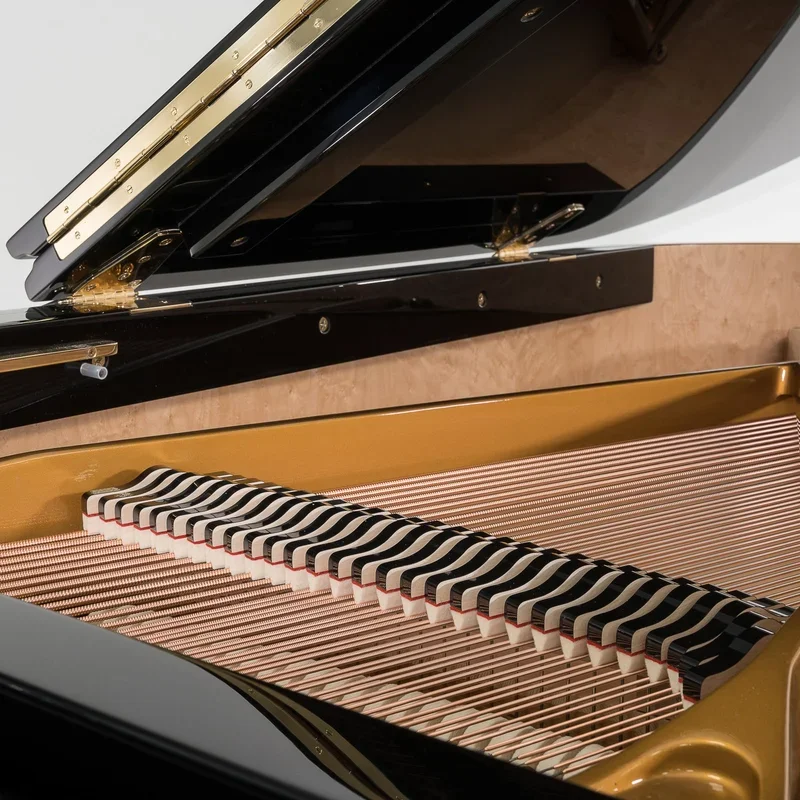 Sauter Alpha 160 - Polished Black - Chi tiết 1