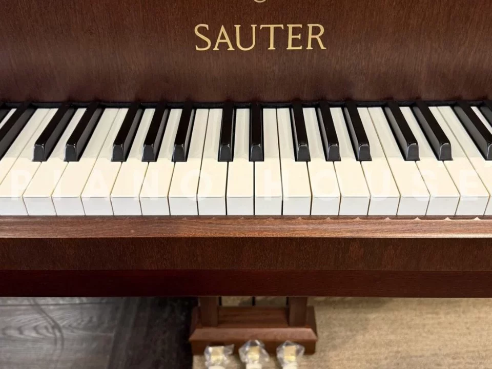 Sauter Delta 185 | Salon Grand Piano (Satin Mahogany) - Hình ảnh chính