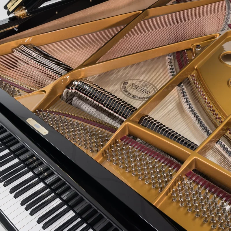 Sauter Delta 185 | Salon Grand Piano (Satin Mahogany) - Chi tiết 1