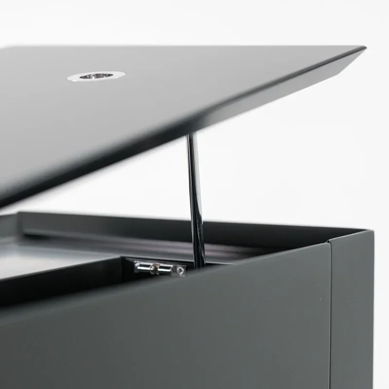 Sauter Pure Basic (Black Matte & Walnut) - Hình ảnh chính