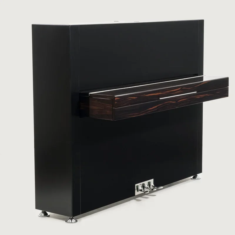 Sauter Pure Basic (Black Matte & Walnut) - Chi tiết 2