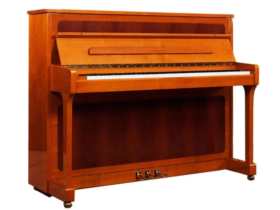 Sauter Ragazza 122 (Cherry & Yew Wood) - Hình ảnh chính