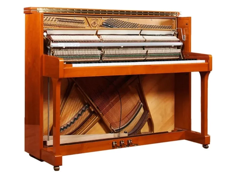 Sauter Ragazza 122 (Cherry & Yew Wood) - Chi tiết 2