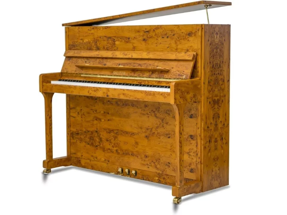Sauter Ragazza 122 (Polished Bright Yew) - Hình ảnh chính