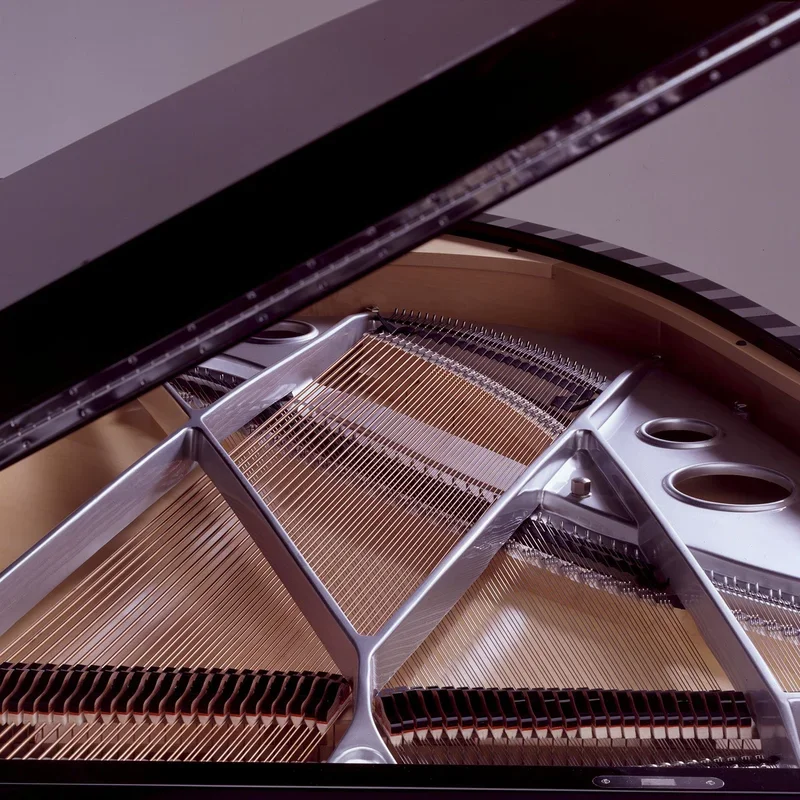 Sauter Vivace 210 (White Polished) - Hình ảnh chính