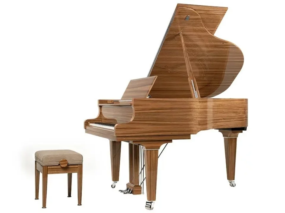 Schimmel Classic C169 Paldao - Hình ảnh chính