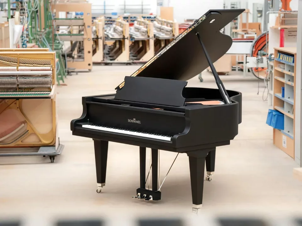Schimmel Classic C169 The Black Pearl - Hình ảnh chính
