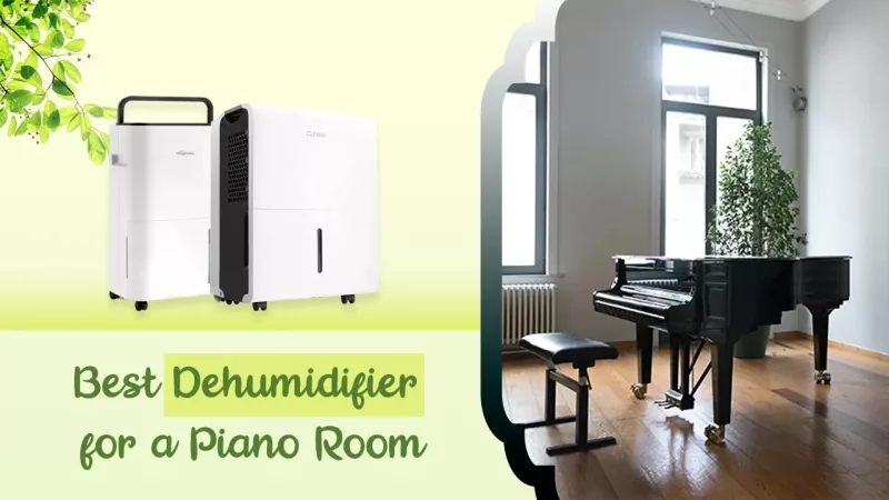 Bảo dưỡng piano