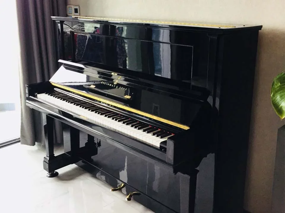 STEINWAY K-132 - Hình ảnh chính