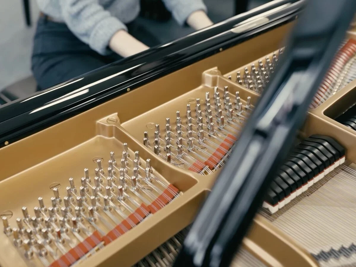 STEINWAY S-155 - Chi tiết 2