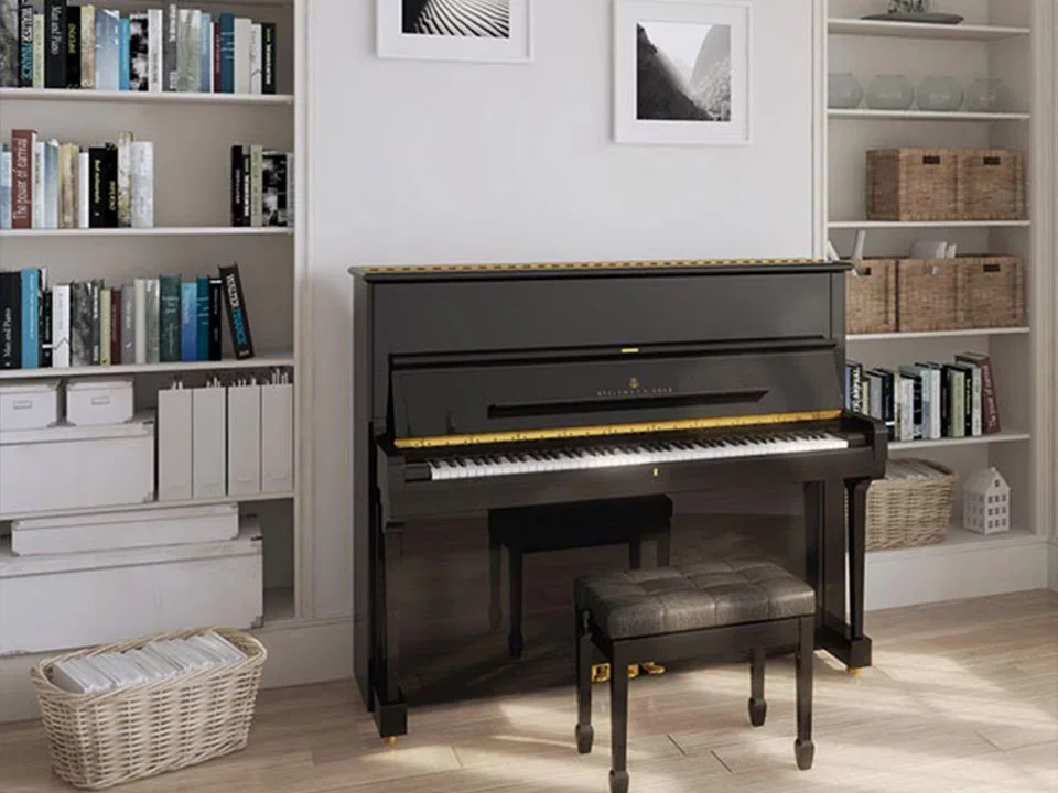 STEINWAY V-125 - Hình ảnh chính