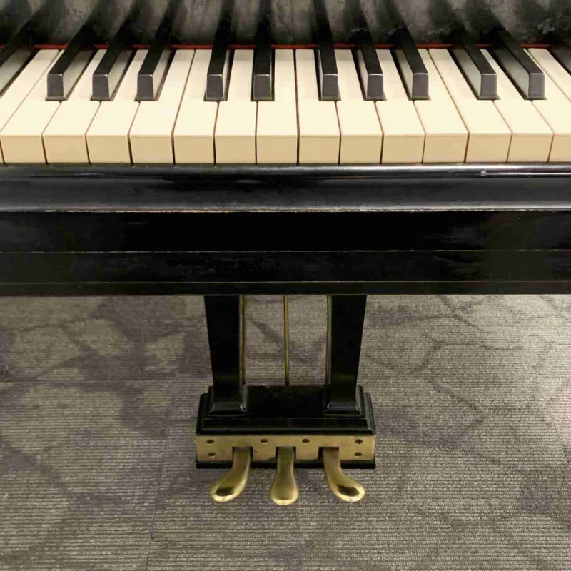 Loa Piano Điện "Tắc Tiếng": Giải Mã & "Đại Tu" Để Âm Thanh Trở Lại Hoàn Tráng