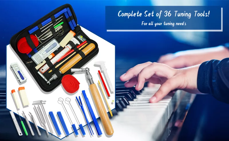 Đồng Hồ Sinh Học" Của Piano: Giải Mã Tần Suất Lên Dây Đúng Chuẩn Để Giữ Vững "Nh