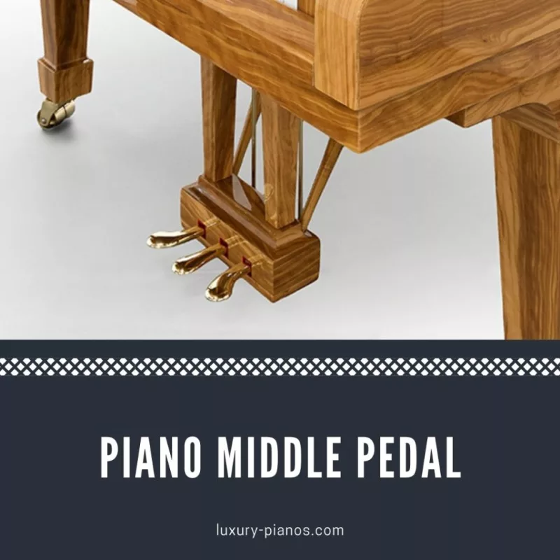Tự Học Piano Đừng "Tự Vỗ Tay": 7 Sai Lầm "Chí Mạng" Và Lộ Trình Vàng Cho Người M