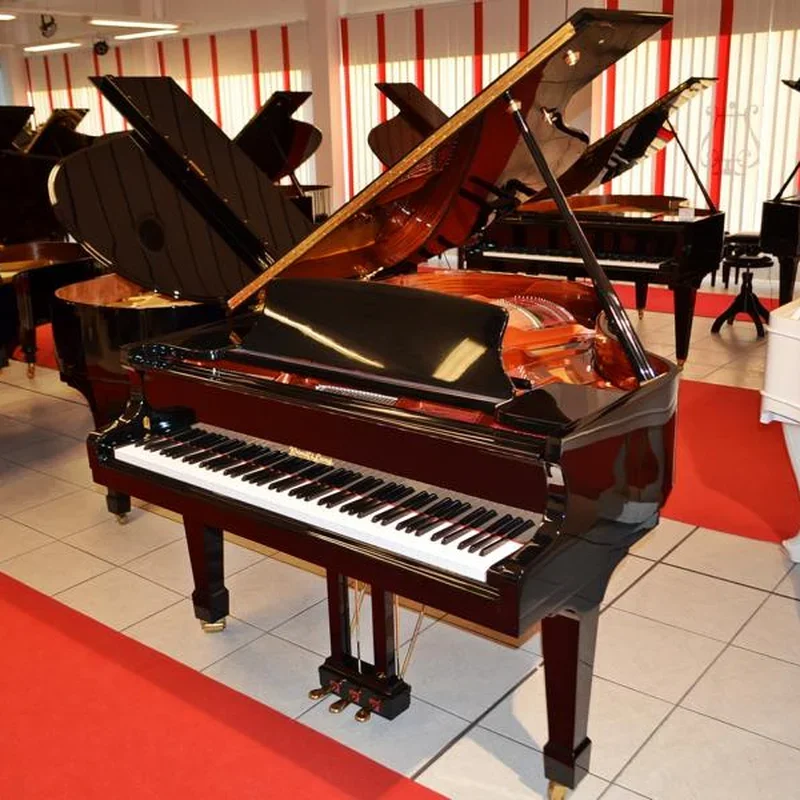 Wendl & Lung Mod.178 Professional II Mahogany - Chi tiết 1