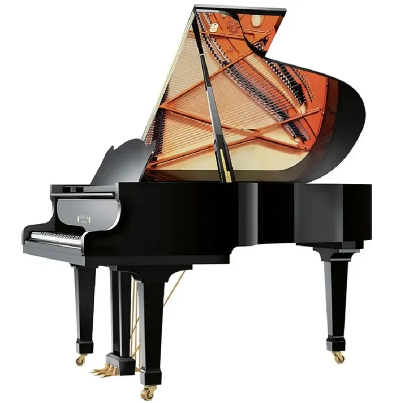 Wilhelm Schimmel W180 Tradition (Macassar Ebony) - Chi tiết 1