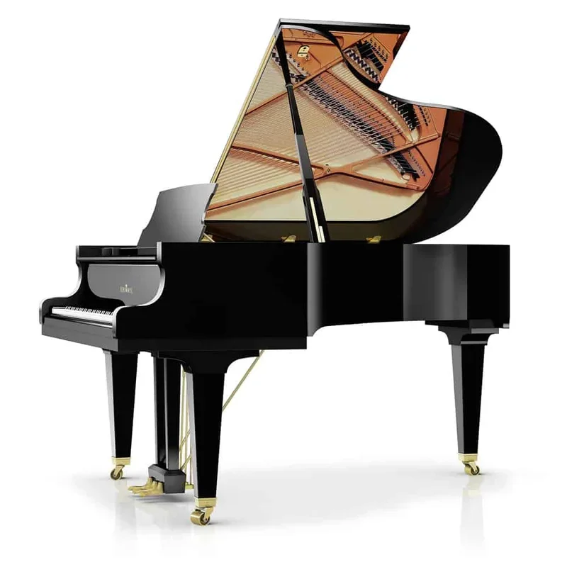 Wilhelm Schimmel W180 Tradition (Macassar Ebony) - Chi tiết 2