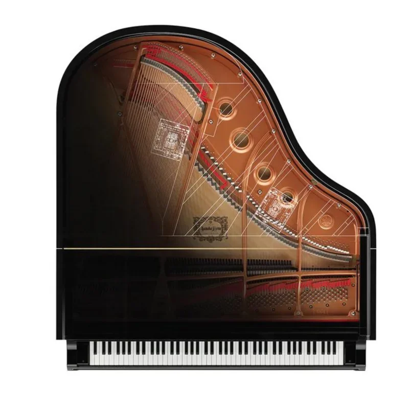 YAMAHA C1X TA2 TRANSACOUSTIC™ - Chi tiết 1