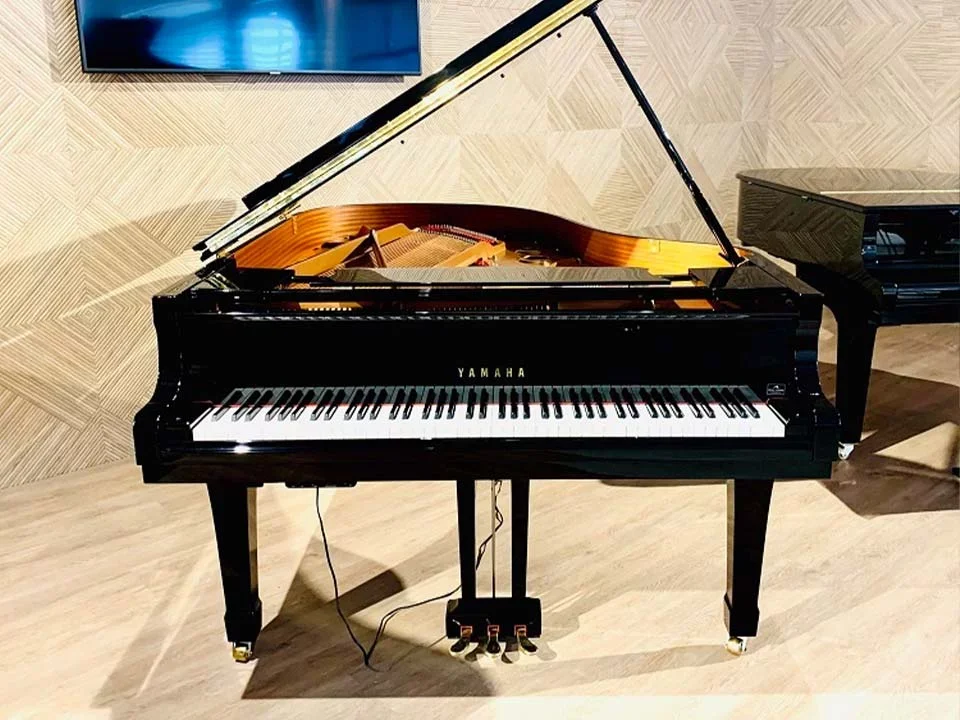 YAMAHA C3 Silent - Hình ảnh chính