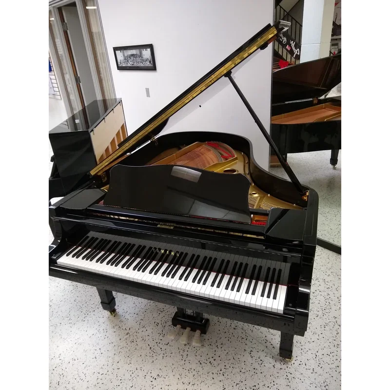 YAMAHA C3 SW - Chi tiết 1