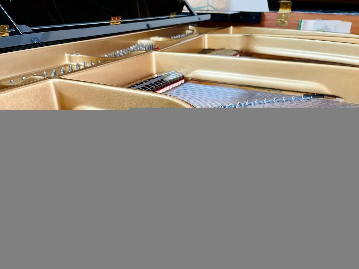 YAMAHA C7B seri 4.8 - Hình ảnh chính