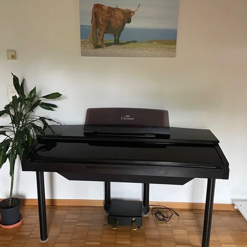 Yamaha CVP 10 - Chi tiết 1