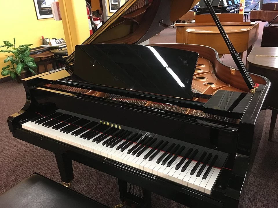 YAMAHA DC3X ENPRO PE - Chi tiết 2