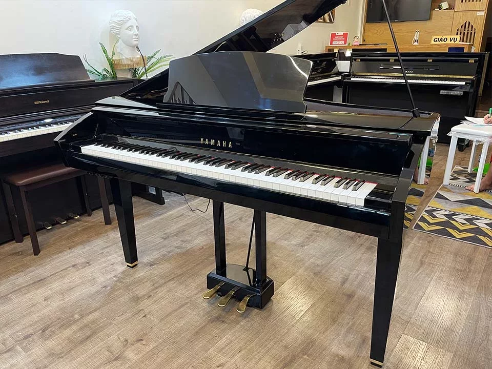 YAMAHA DGP7 - Chi tiết 2