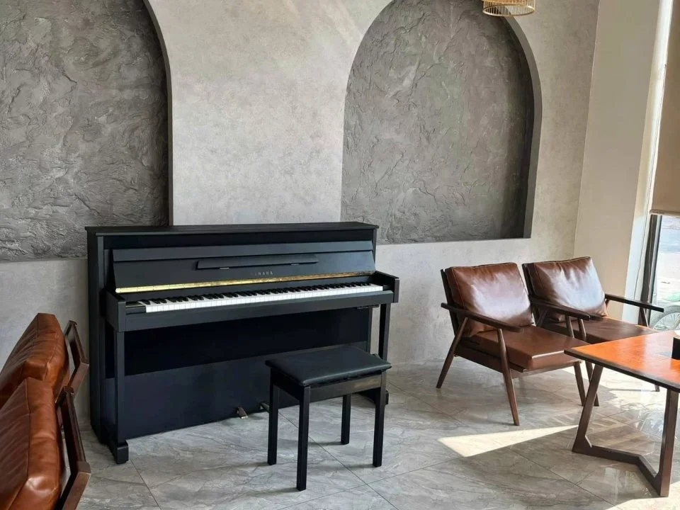 YAMAHA DUP-1 B - Hình ảnh chính