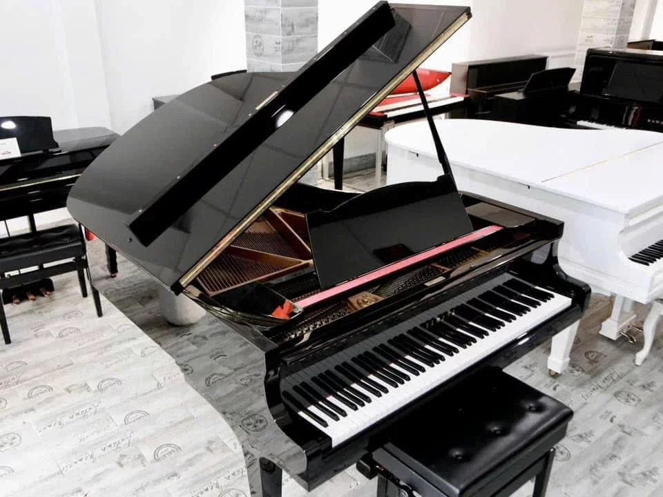 YAMAHA G2E - Hình ảnh chính