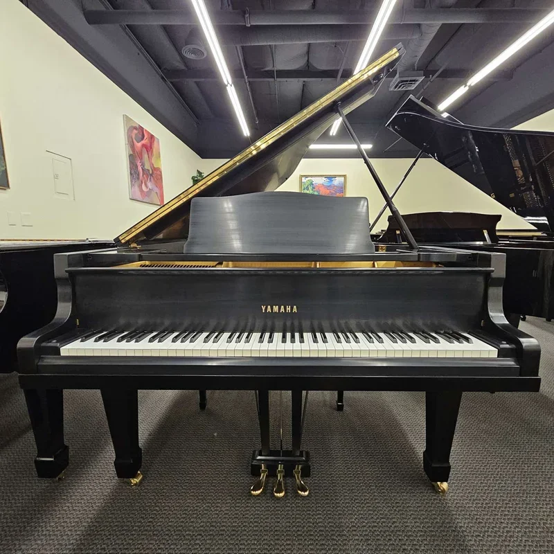 YAMAHA G3 Special - Hình ảnh chính