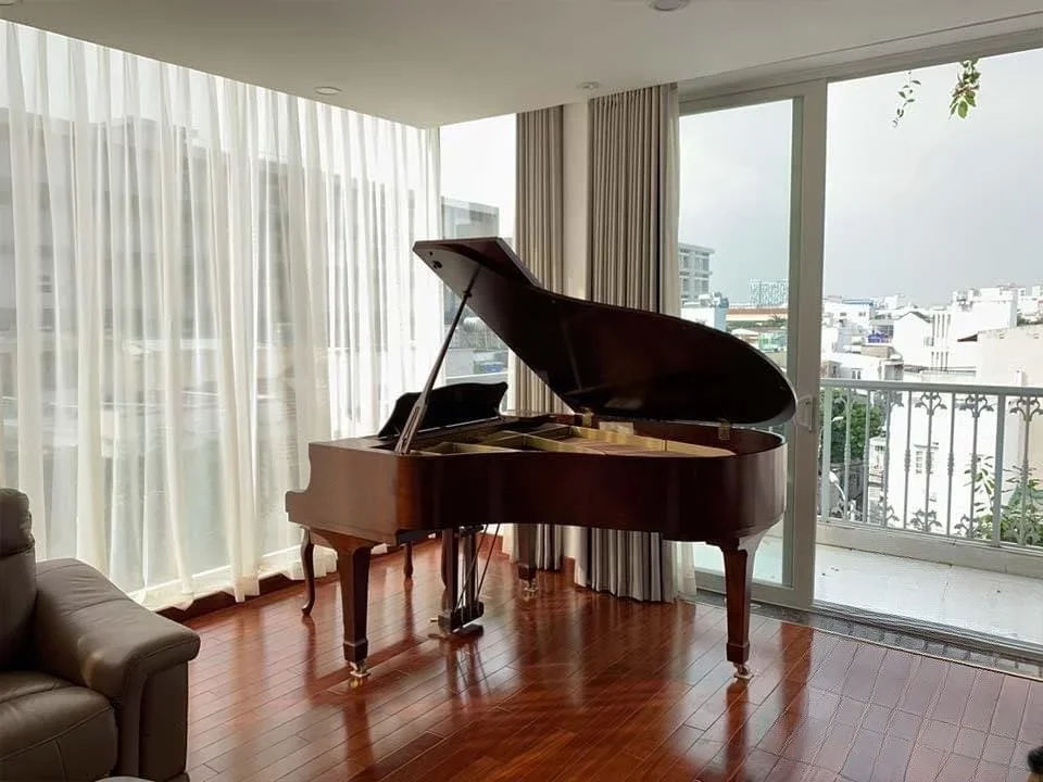 YAMAHA G3B Wn Seri 4.7 - Hình ảnh chính