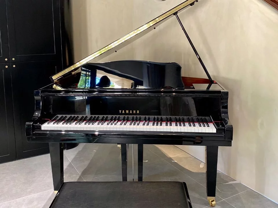 YAMAHA GB1K PE - Hình ảnh chính