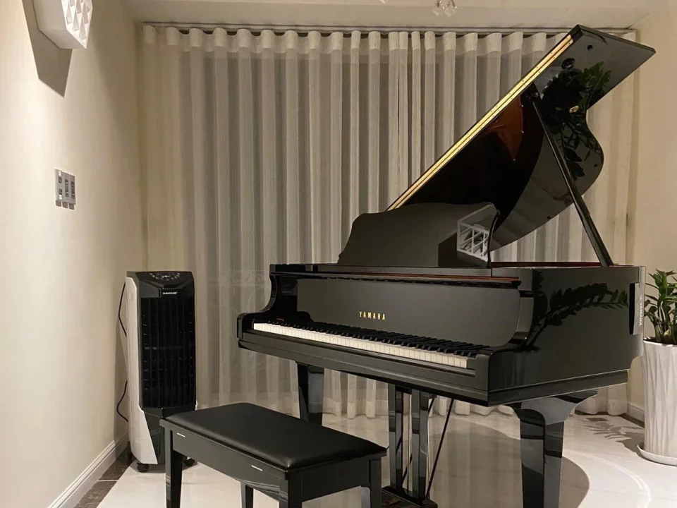 YAMAHA GC1 PE - Hình ảnh chính